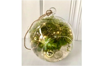 Plant Nite: Hanging Globe w/ Fairy Lights & Ornament